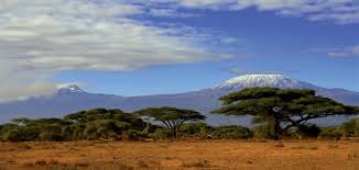 Tanzania (Mount Kilimanjaro & Serengeti)
