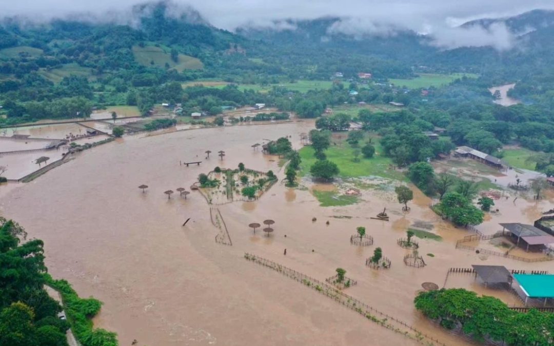 About 100 rescued elephants escape flash floods at popular sanctuary in northern Thailand